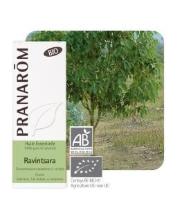 Ravintsara (Cinnamomum camphora ct cinéole) Bio
